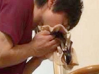 Japanese boy sniffs little sister's panties in XXX video