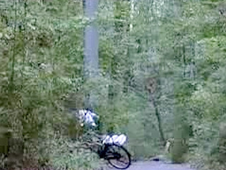 Fucking Like a Beast with Thai Massage Girl - UNCENSORED XXX